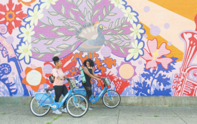 Apply for a BBSP Mini-Grant!